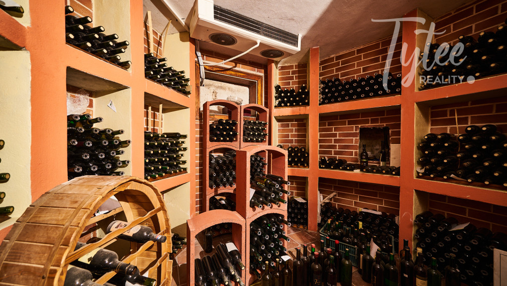 Rodinné sídlo s priestranným ateliérom