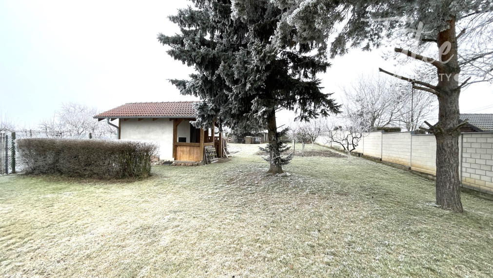 Bungalov s dvojgarážou a veľkým pozemkom, Borová