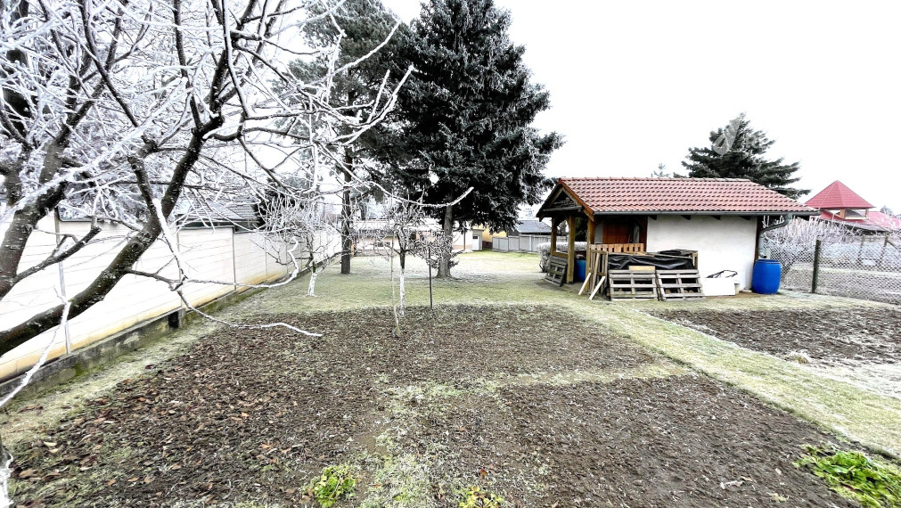 Bungalov s dvojgarážou a veľkým pozemkom, Borová