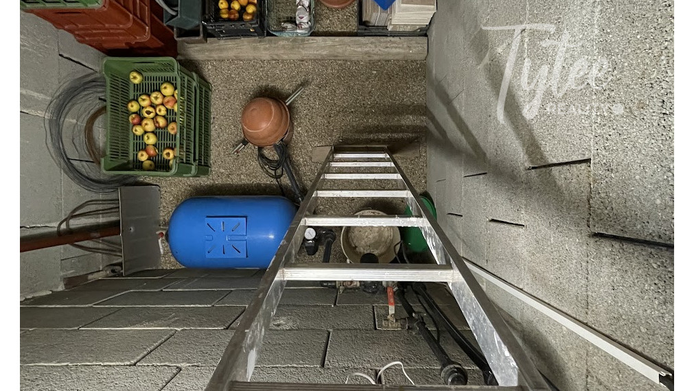 Bungalov s dvojgarážou a veľkým pozemkom, Borová